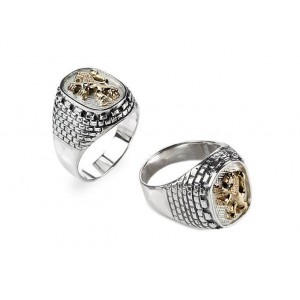 Sterling Silver Ring with Lion of Judah and Jerusalem Stone in Gold by Rafael Jewelry Día de Jerusalén