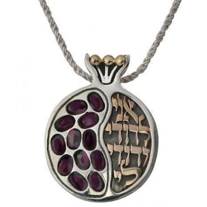 Pomegranate Pendant with Ani LeDodi in Yellow Gold & Sterling Silver with Garnets BY Rafael Jewelry  Boda Judía