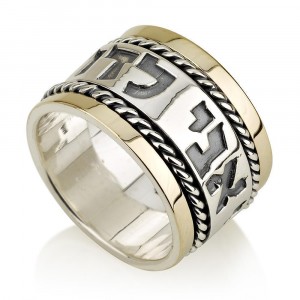 Ani Ledodi Spinning Ring in 14K Gold and Sterling Silver by Ben Jewelry New Arrivals