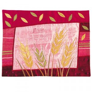 Yair Emanuel Challah Cover with Embroidery of Wheat in Raw Silk Tapas para Jalá