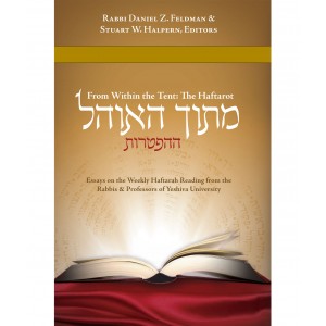 Mitokh Ha-Ohel: Essays on the Haftara from YU – Rabbi Daniel Feldman (Harcover) Libros y Media
