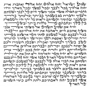 Pergamino de Mezuzá Sefaradí Básico con Shema (12cm)