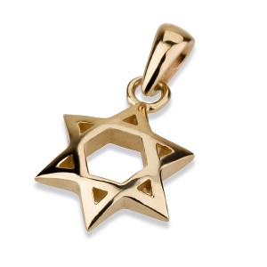 Pendiente de Estrella de David con Forma Convexa en Oro Amarrillo de 14K Star of David Jewelry