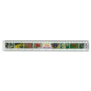 Flowers of the Holy Land Ruler Stationery