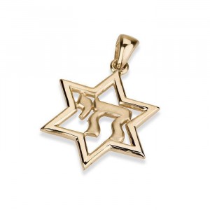 14 Yellow Gold Star of David & Chai Pendant Star of David Jewelry
