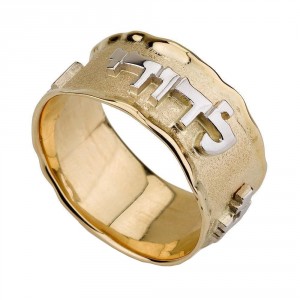 Ani L'Dodi Ring in 14k Two-Tone Gold Bijoux de Mariage