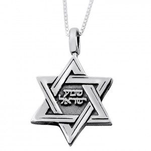 Micro Book of Psalms 925 Sterling Silver Star of David Necklace Collares y Colgantes