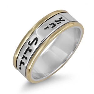 Sterling Silver Customizable English/Hebrew Ring With Gold Stripes Bible Jewelry