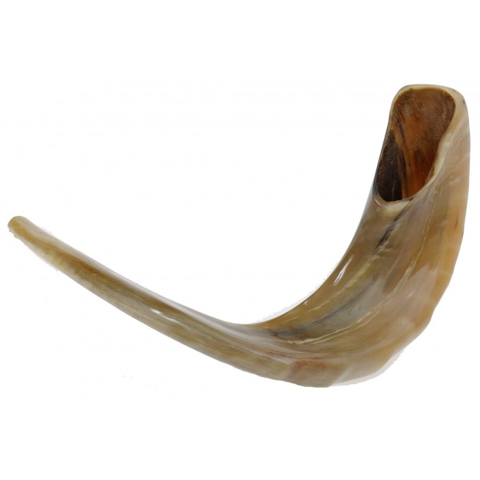 Ram Horn Polished Shofar in light Brown by Barsheshet – Ribak (10" - 12")